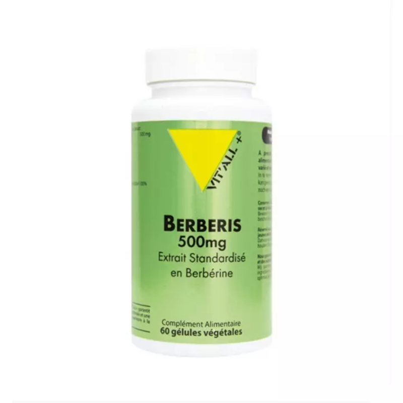 VIT'ALL+ BERBERIS 500 MG COMPLEMENT ALIMENTAIRE 60 GELULES