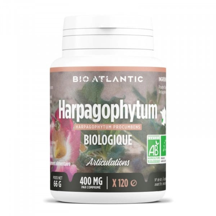 GPH HAPRAGOPHTUM BIO 120 COMPRIMES 400 MG