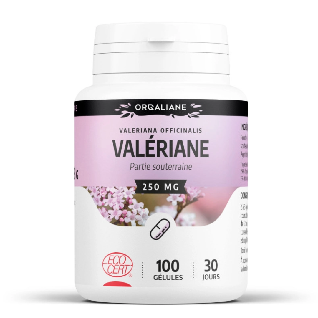 GPH VALERIANE 100 GELULES DOSSES A 250 MG