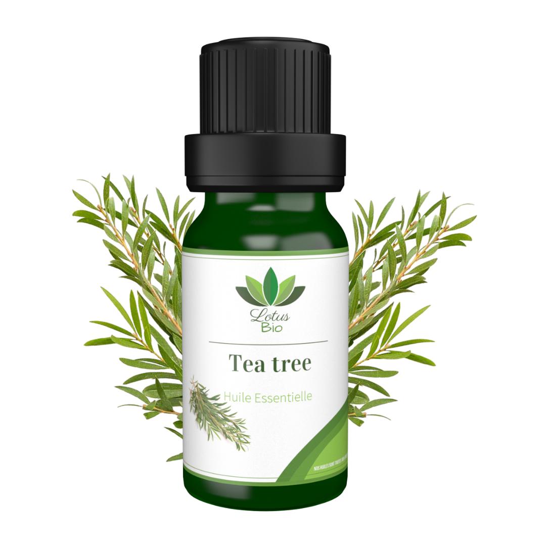 LOTUS BIO HUILE ESSENTIELLE DE TEA TREE