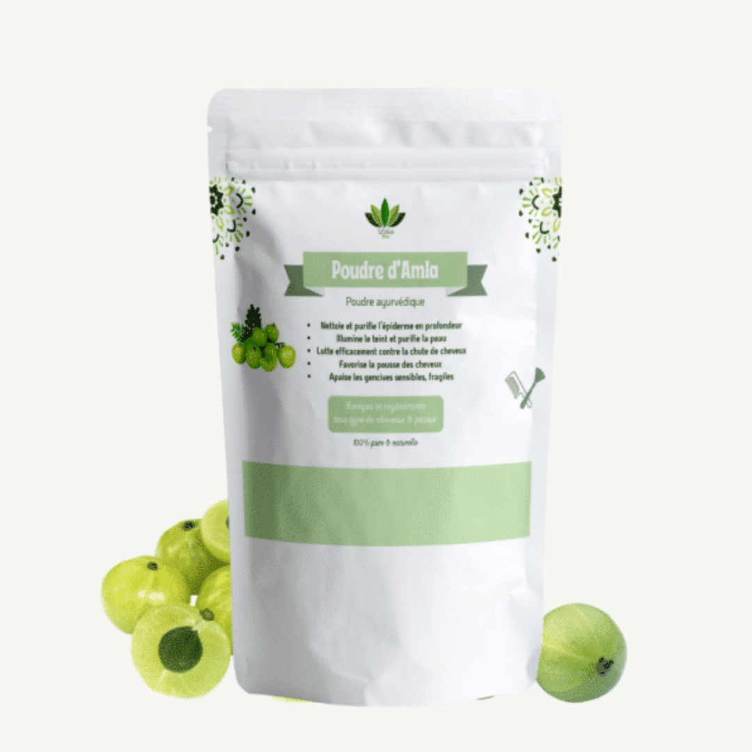 LOTUS BIO POUDRE D'AMLA 100 G