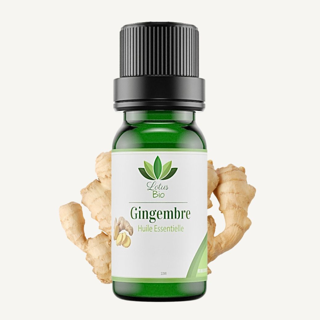LOTUS BIO HUILE ESSENTIELLE DE GINGEMBRE