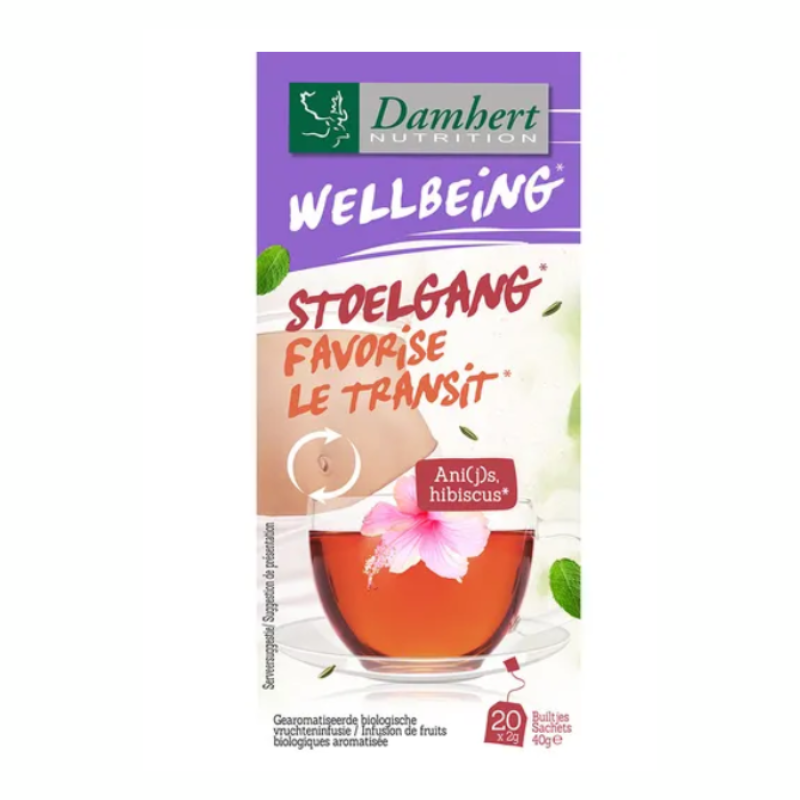 DAMHERT WELLBEING FAVORISE LE TRANSITE 20 SACHETS